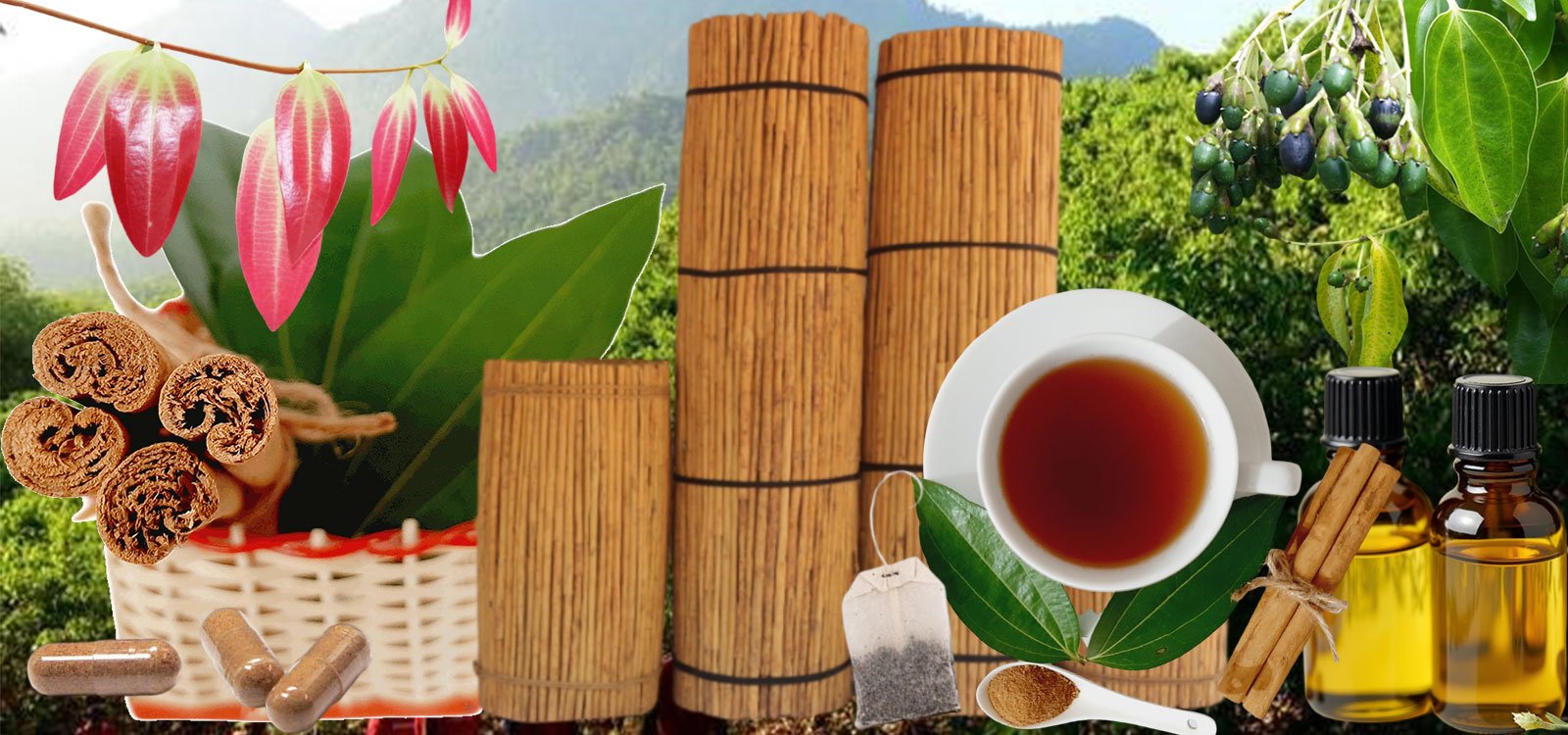 5-Surprising-Health-Benefits-of-Ceylon-Cinnamon-You-Need-to-Know