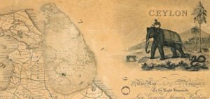 From-Sri-Lanka-to-Your-Kitchen