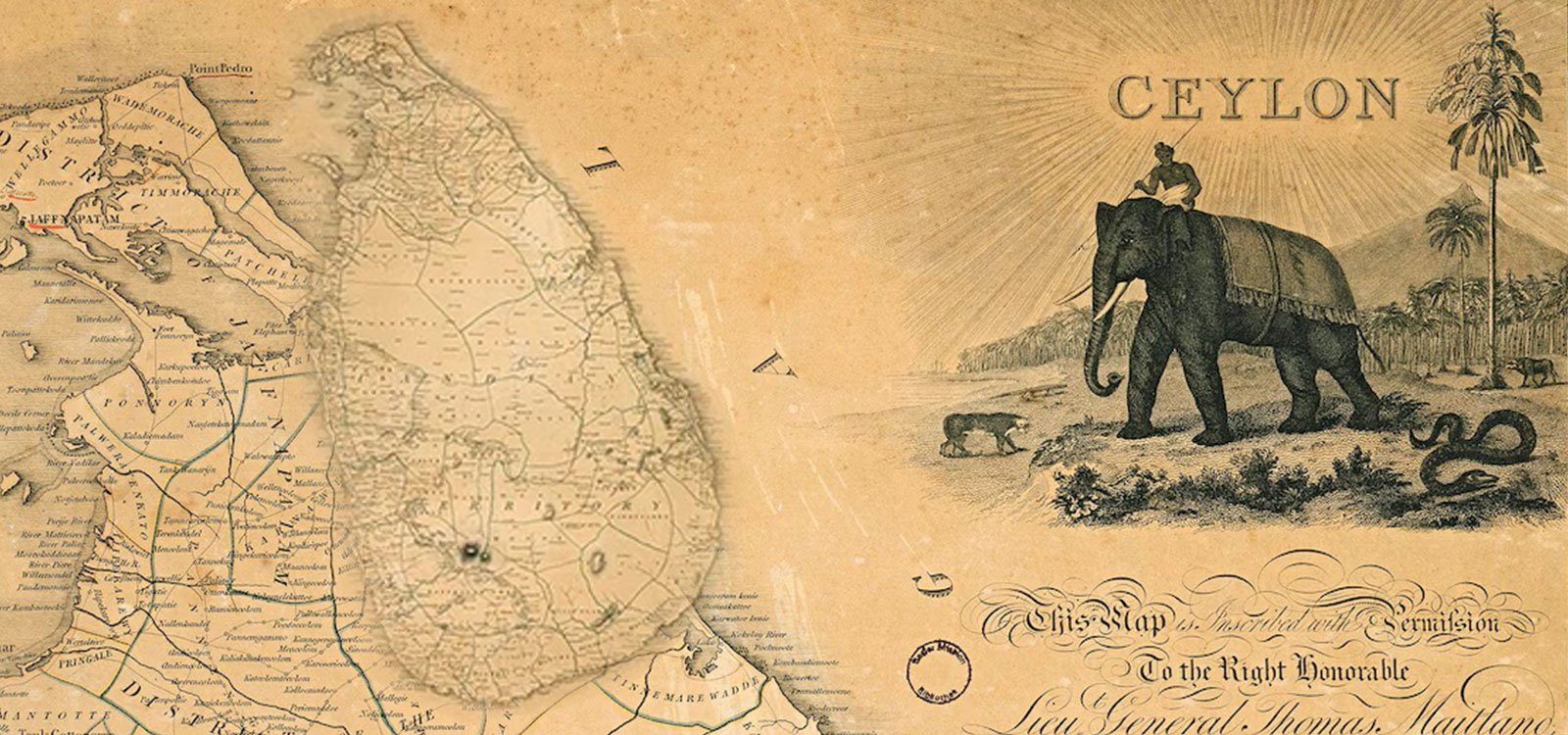 From-Sri-Lanka-to-Your-Kitchen