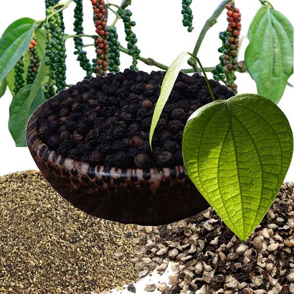 bulk-orders-types-black-pepper