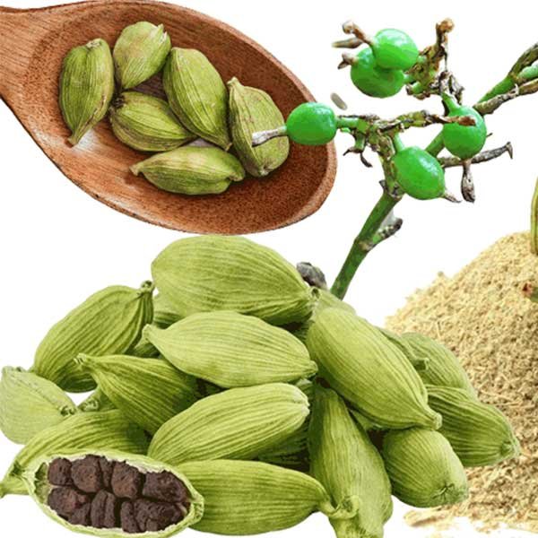 bulk-orders-types-cardamom