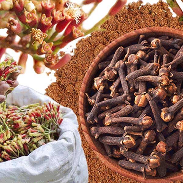 bulk-orders-types-cloves
