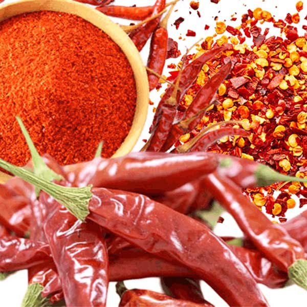 bulk-orders-types-red-chilli