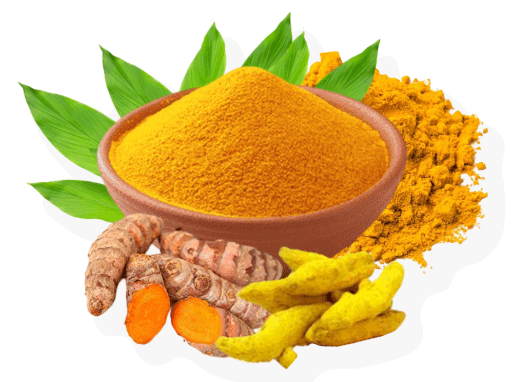 turmeric